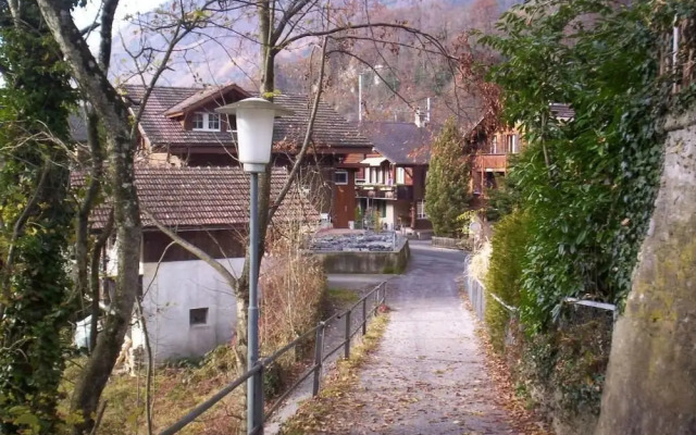 The Hotel Alpina