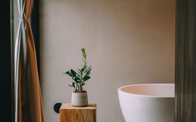 TerraSense Mountain Charm Retreat & Farm