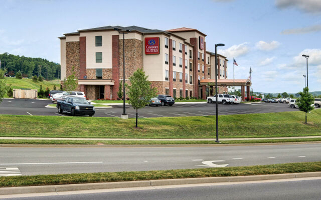 Comfort Suites Bridgeport - Clarksburg