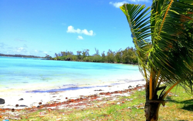 Bahama Breeze Beach Apartment B&B