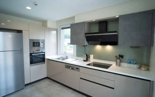 3 B Luxury Apt Near Arena Park AVM