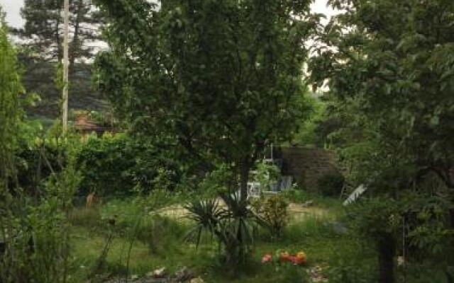 Surami Treehouse