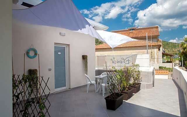 B&B Dionea