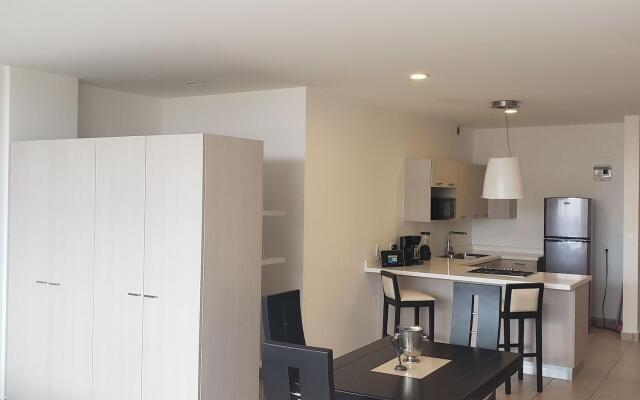 Premium Carso Alameda Luxury Lofts