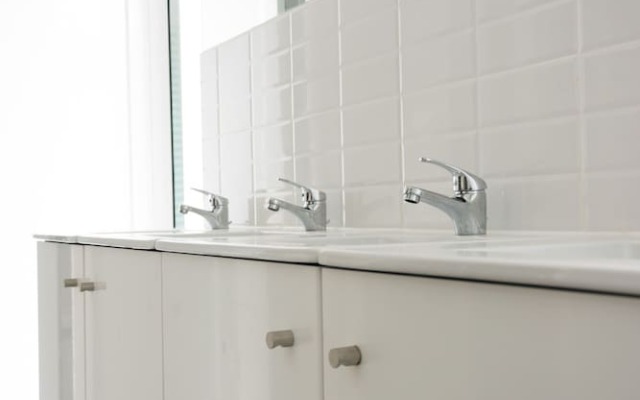 The Mulberry Tree Lisbon Hostel