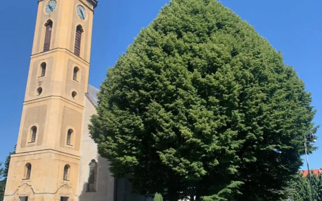 Apartmán na horách