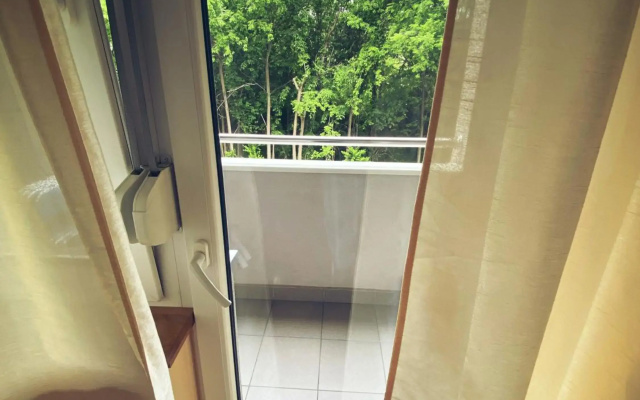 Apartment Vas Raj