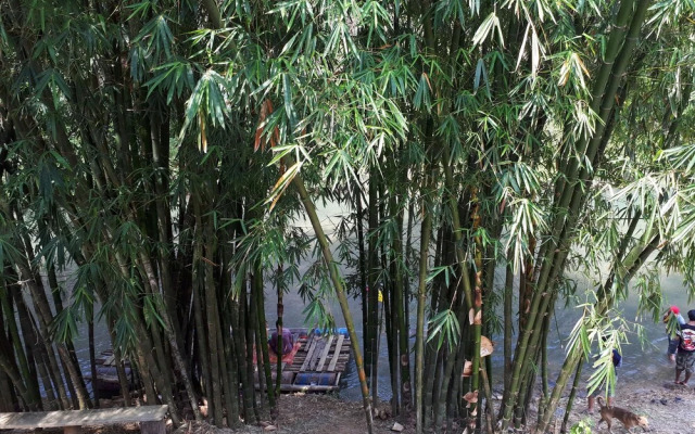 Longgaeng Wang Chompoo