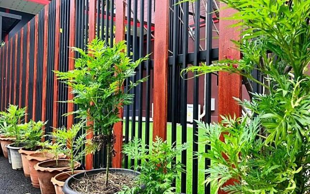 Thyme Xeriscape Hostel
