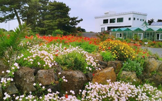 Jeju Ssariz Pension