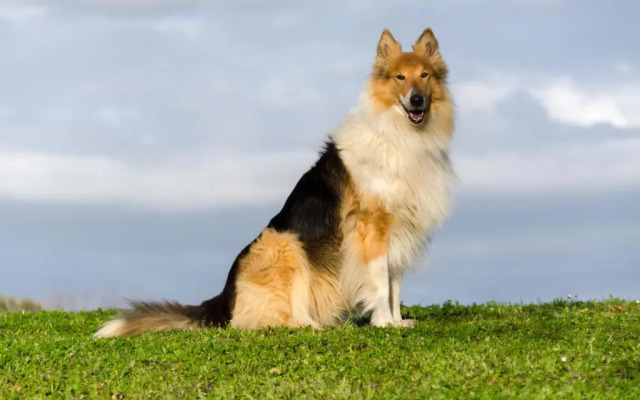 Agriturismo Belvedere Pierini e Brugi