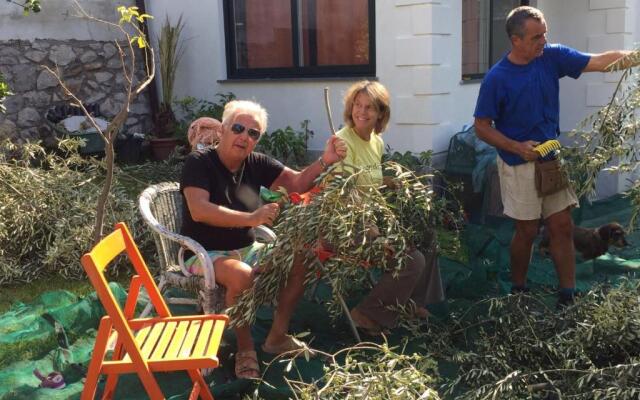 Appartamento in Villa con Giardino privato e piscina