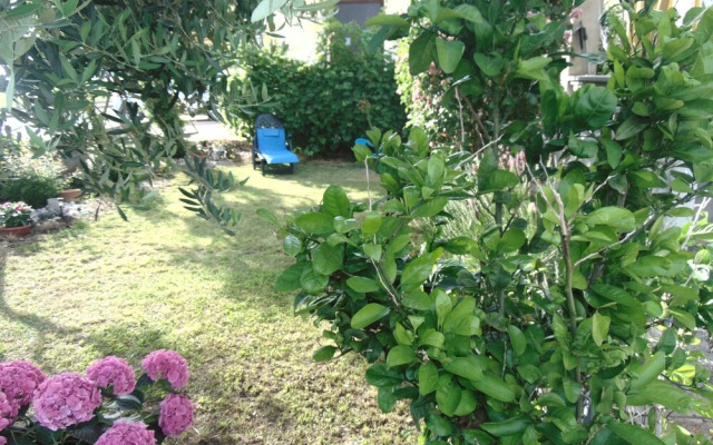 Comfortable Apartment Luka