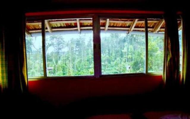 Coorg Green Nest Homes