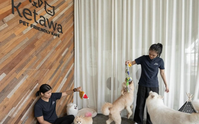 Ketawa Pet Friendly Hotel