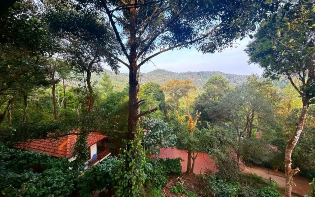 Young Island - Coorg