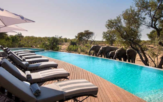 andBeyond Ngala Safari Lodge
