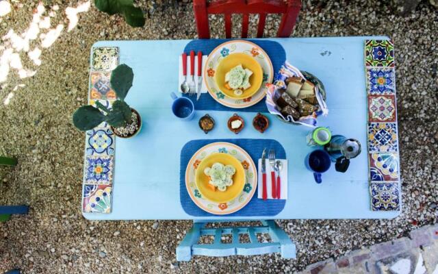 Vainilla B&B Mexico