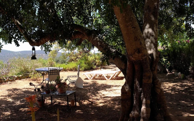 Quinta Amarela XL by Portucasa