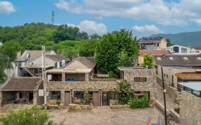 Two Ginkgo Trees · Old House Courtyard Homestay (Tianjin Jizhou Xijingyu) – Outside – Tianjin