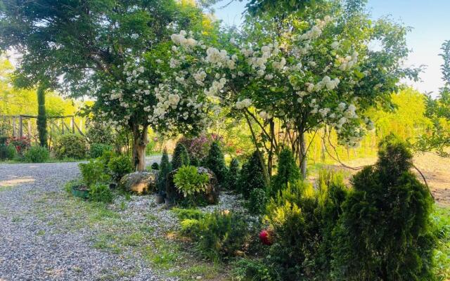 Guesthouse Kamelia
