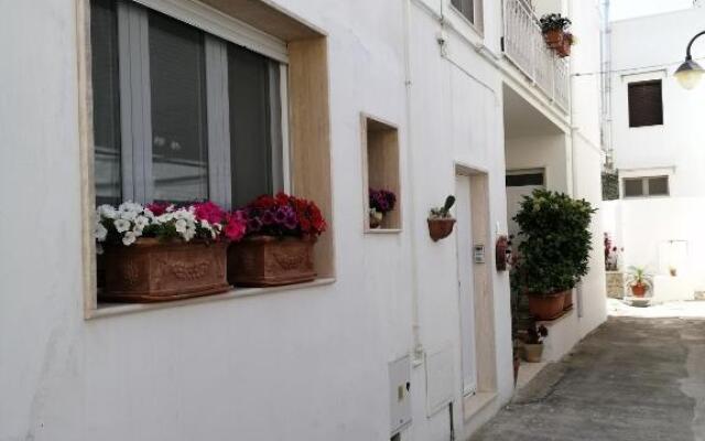 Casa Low Cost