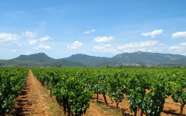 Country Kids Resort - All Inclusive