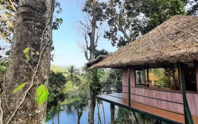 Noah's Nest Tree House