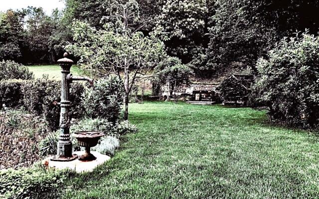 Cipresso 2
