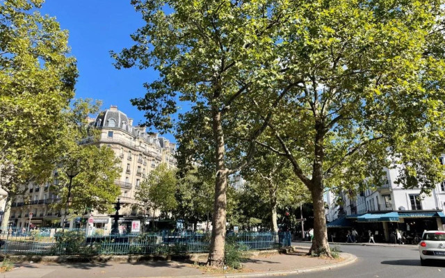 Best Western Allegro Nation