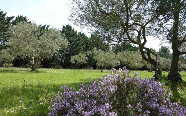 Les Mazets du Luberon