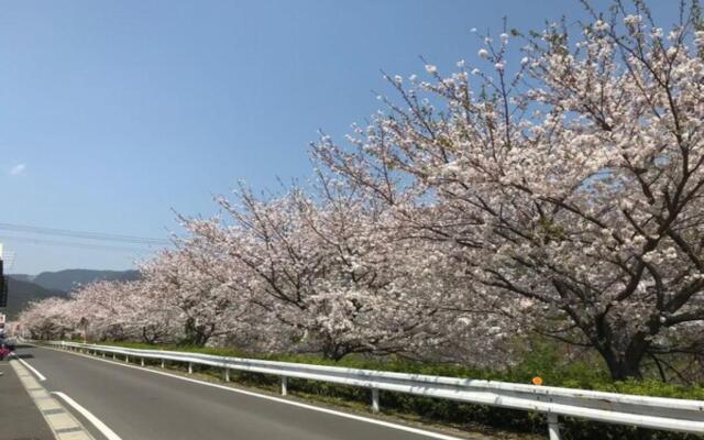 Business Hotel Kawakami Kumano