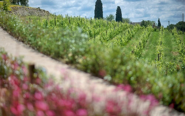 Luxury Chianti in La Farfalla in Panzano Chianti