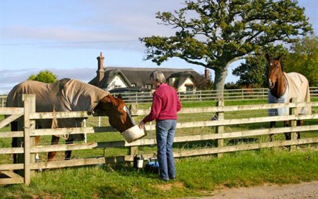Strete Ralegh Farm - BB