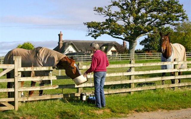 Strete Ralegh Farm