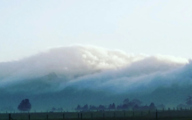 The House With No Nails