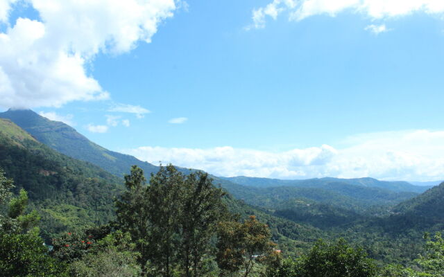 Green Trees Munnar