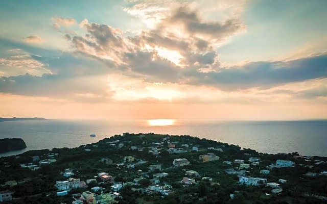 L'Agrumeto