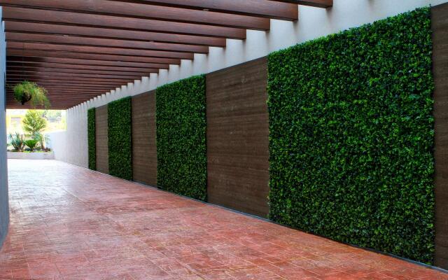 Best Western Plus Santa Cecilia Pachuca
