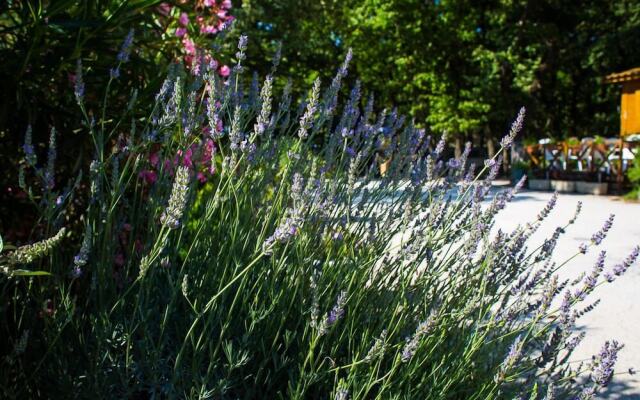 Camping Le Bois Des Ecureuils