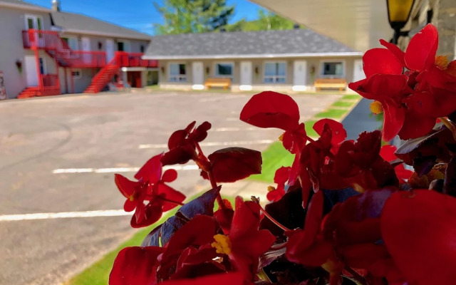 Motel Chantmartin