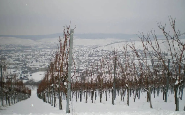 Hotel Landgut Burg GmbH