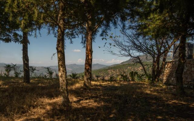 BluSalzz Homes - The Himalayan Bungalow, Almora - Uttarakhand