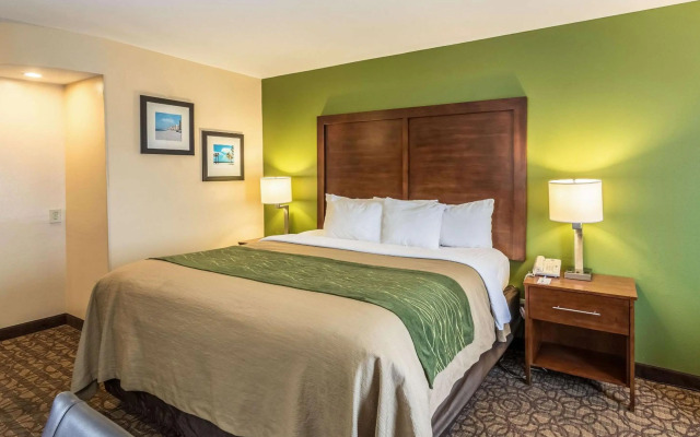 Comfort Inn & Suites Panama City North