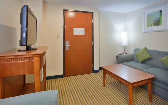 Holiday Inn Express Hotel & Suites Fredericksburg by IHG