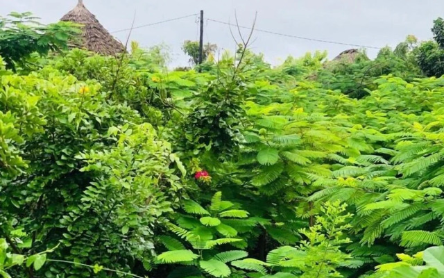 The Dream Garden Bungalow