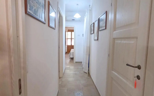 Apartment Conchiglie 2