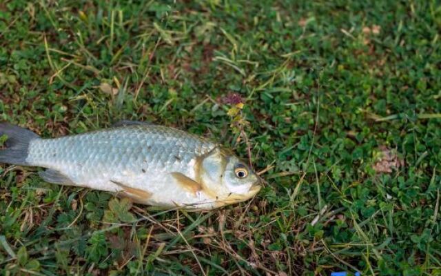 Tianye Panshan Holiday Guesthouse