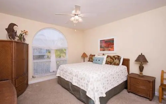 Shellchase by RedAwning