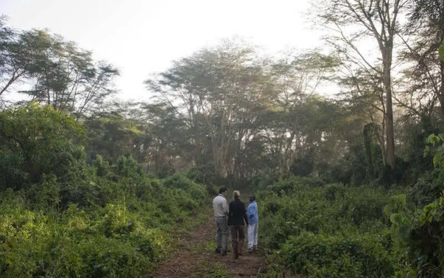 Lake Elmenteita Serena Camp